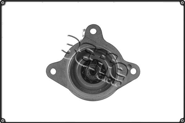 3Effe Group STRF254 - Motorino d'avviamento autozon.pro