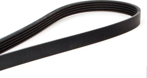 ACDelco 5PK890 - Cinghia Poly-V autozon.pro