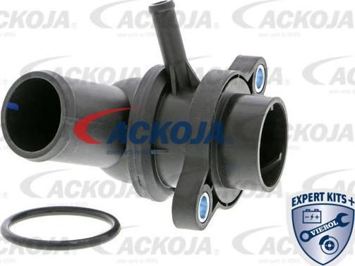 ACKOJAP A51-99-0004 - Termostato, Refrigerante autozon.pro