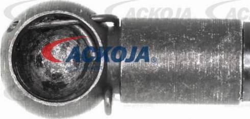 ACKOJAP A51-99-0001 - Termostato, Refrigerante autozon.pro