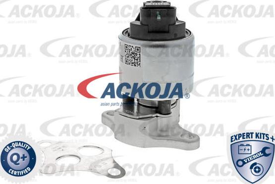 ACKOJAP A51-63-0005 - Valvola ricircolo gas scarico-EGR autozon.pro