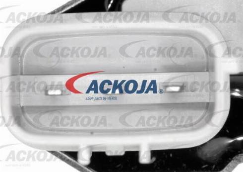 ACKOJAP A51-0208 - Pompa acqua + Kit cinghie dentate autozon.pro