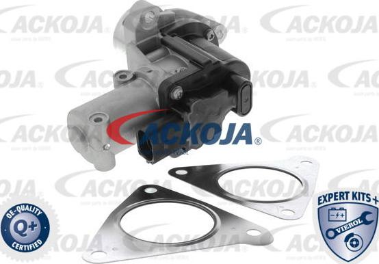 ACKOJAP A53-63-0003 - Valvola ricircolo gas scarico-EGR autozon.pro