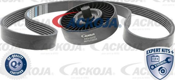 ACKOJAP A53-0202 - Kit Cinghie Poly-V autozon.pro