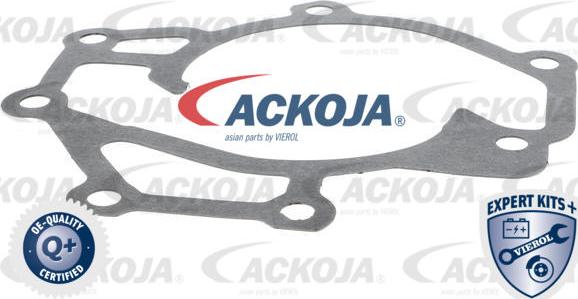 ACKOJAP A53-0701 - Pompa acqua autozon.pro