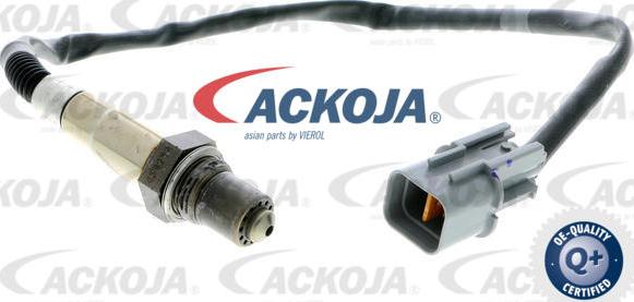 ACKOJAP A53-76-0012 - Sonda lambda autozon.pro