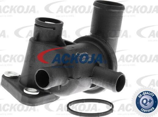 ACKOJAP A52-99-0013 - Termostato, Refrigerante autozon.pro