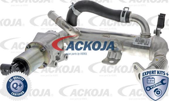 ACKOJAP A52-63-0018 - Valvola ricircolo gas scarico-EGR autozon.pro