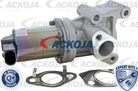 ACKOJAP A52-63-0020 - Valvola ricircolo gas scarico-EGR autozon.pro