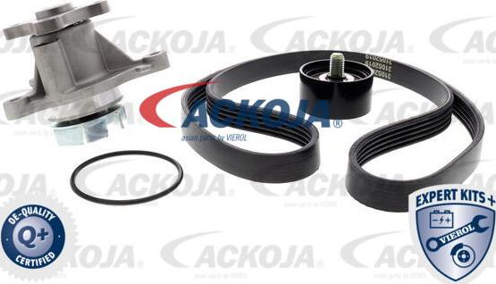 ACKOJAP A52-0516 - Kit Cinghie Poly-V autozon.pro