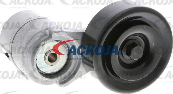 ACKOJAP A52-0368 - Tendicinghia, Cinghia Poly-V autozon.pro