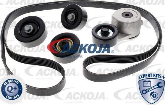 ACKOJAP A52-0211 - Kit Cinghie Poly-V autozon.pro