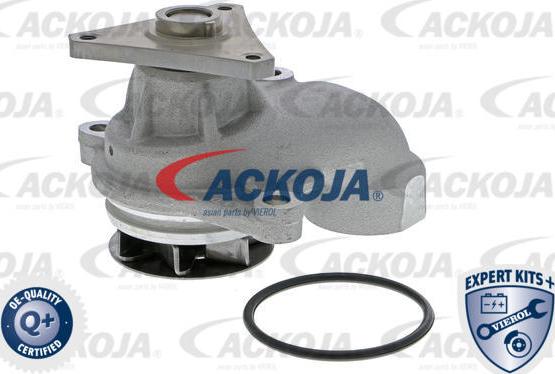 ACKOJAP A52-0709 - Pompa acqua autozon.pro