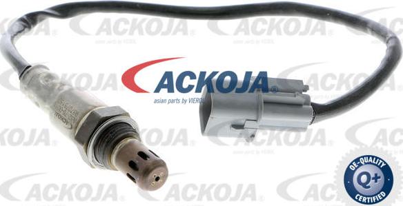 ACKOJAP A52-76-0016 - Sonda lambda autozon.pro