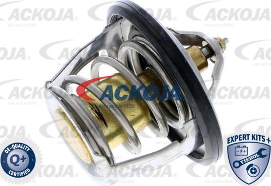 ACKOJAP A63-99-0001 - Termostato, Refrigerante autozon.pro