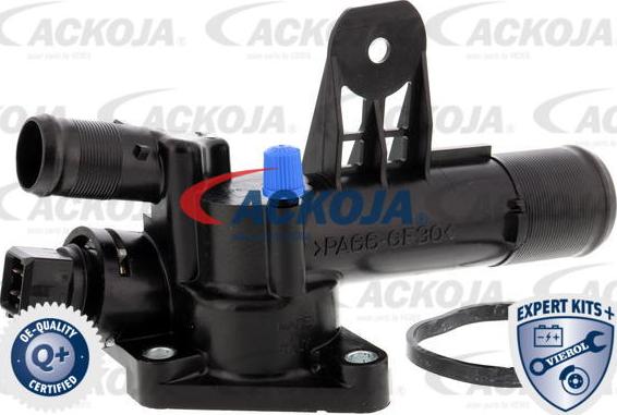 ACKOJAP A38-99-0012 - Termostato, Refrigerante autozon.pro