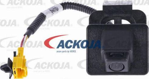 ACKOJAP A38-60-0004 - Radiatore olio, Olio motore autozon.pro