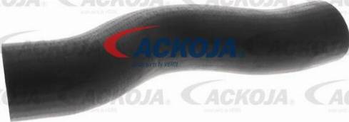 ACKOJAP A38-0561 - Galoppino / Guidacinghia, Cinghia Poly-V autozon.pro