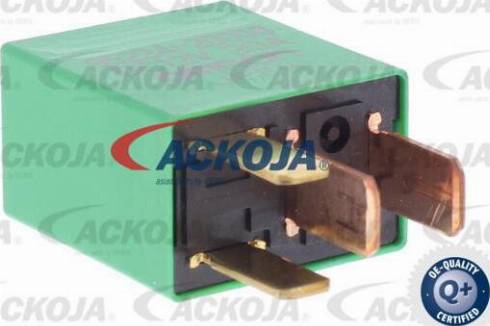 ACKOJAP A38-0332 - Tendicinghia, Cinghia Poly-V autozon.pro