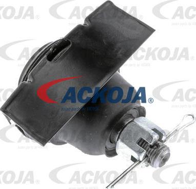 ACKOJAP A38-13-38930 - Alternatore autozon.pro