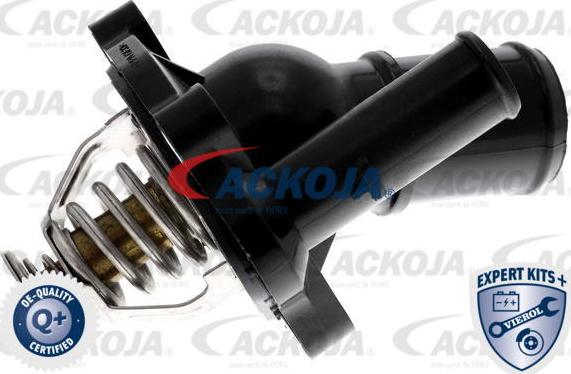 ACKOJAP A32-99-0005 - Termostato, Refrigerante autozon.pro