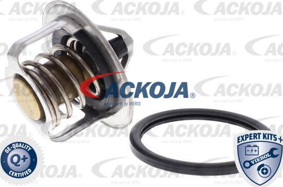 ACKOJAP A37-99-0006 - Termostato, Refrigerante autozon.pro