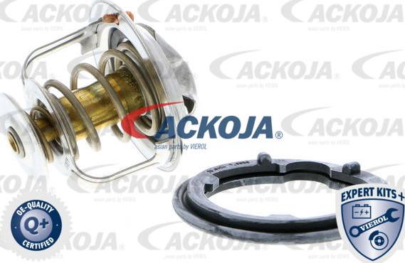 ACKOJAP A26-99-0009 - Termostato, Refrigerante autozon.pro