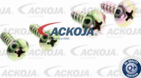 ACKOJAP A26-99-0007 - Termostato, Refrigerante autozon.pro