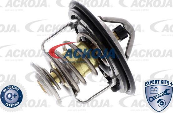 ACKOJAP A26-99-0010 - Termostato, Refrigerante autozon.pro