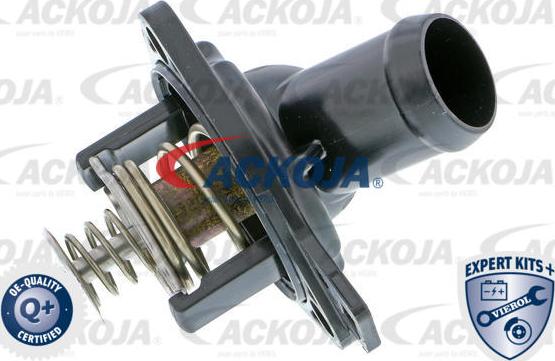 ACKOJAP A26-99-0013 - Termostato, Refrigerante autozon.pro