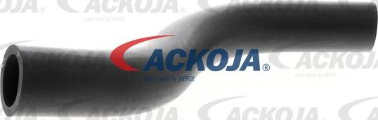 ACKOJAP A26-1600 - Flessibile radiatore autozon.pro