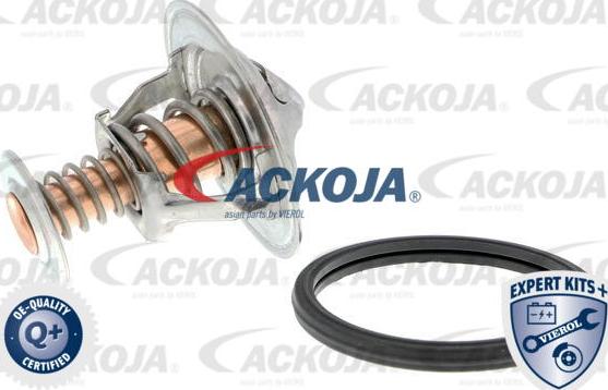 ACKOJAP A70-99-0013 - Termostato, Refrigerante autozon.pro