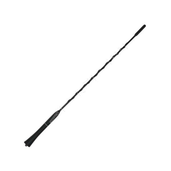 AIC 55029 - Antenna autozon.pro