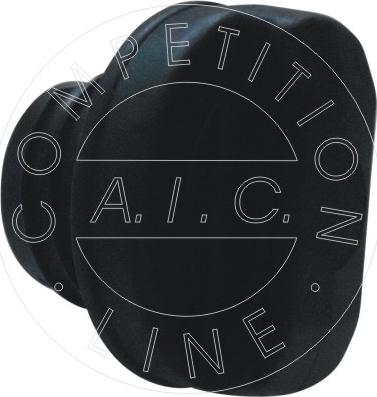 AIC 56035 - Chiusura, serbatoio carburante autozon.pro