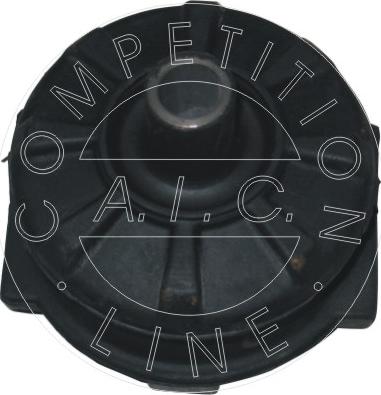 AIC 50350 - Supporto, Corpo assiale autozon.pro