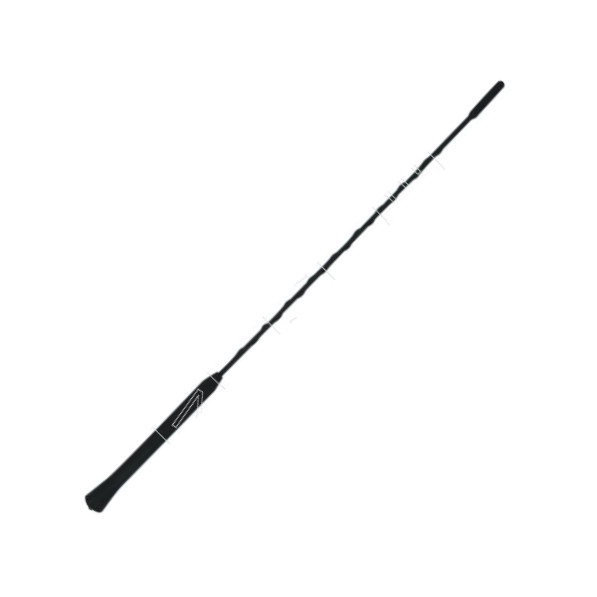 AIC 52111 - Antenna autozon.pro