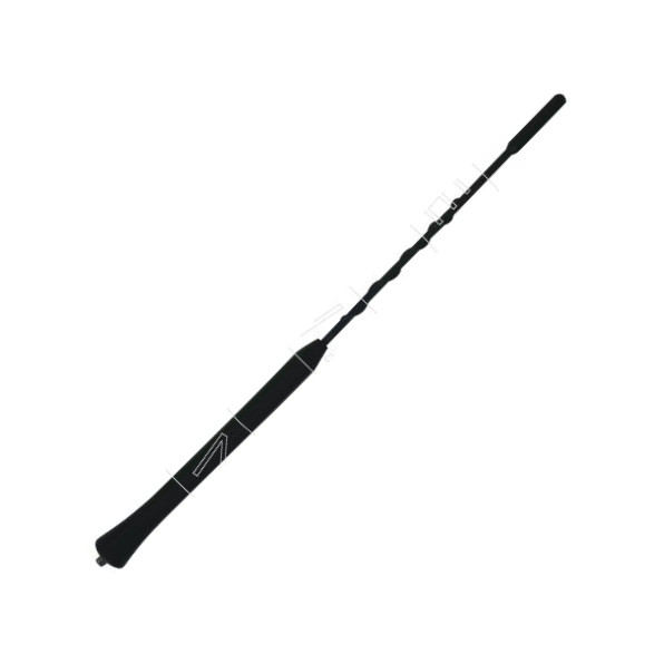 AIC 52102 - Antenna autozon.pro