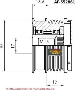 AINDE AF552861 - Puleggia cinghia, Alternatore autozon.pro