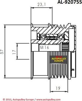 AINDE AL920755 - Puleggia cinghia, Alternatore autozon.pro