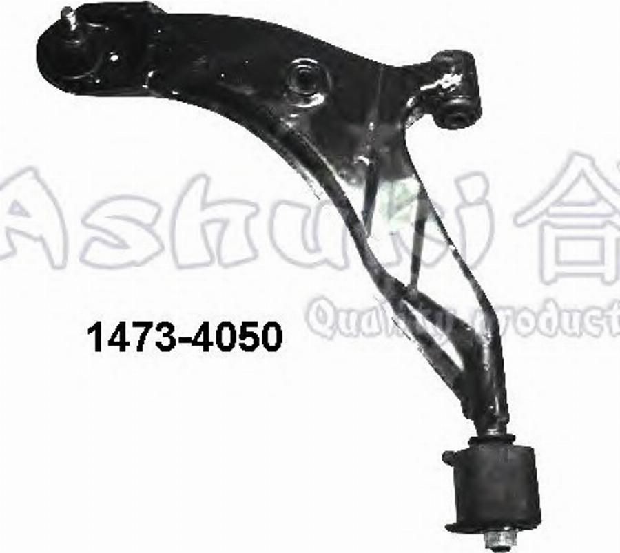 Ashuki 1470-4050 - Braccio oscillante, Sospensione ruota autozon.pro