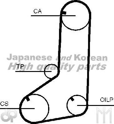 Ashuki C751-31 - Cinghia dentata autozon.pro