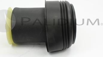 Ashuki PAL10-5002 - Molla pneumatica, Autotelaio autozon.pro