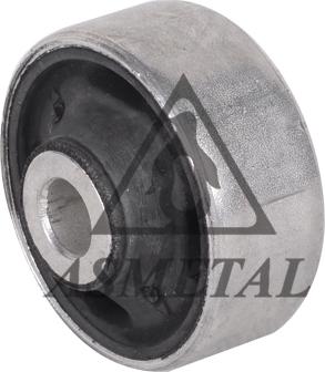 AS Metal 38AU1205 - Supporto, Braccio oscillante autozon.pro