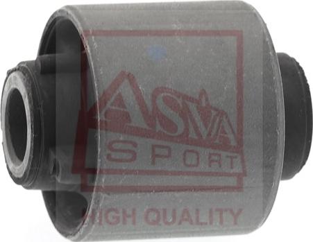 ASVA 0501-BJR2 - Supporto, Braccio oscillante autozon.pro