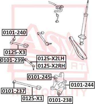 ASVA 0125-X2RH - Braccio oscillante, Sospensione ruota autozon.pro