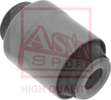 ASVA 0301-053 - Supporto, Braccio oscillante autozon.pro