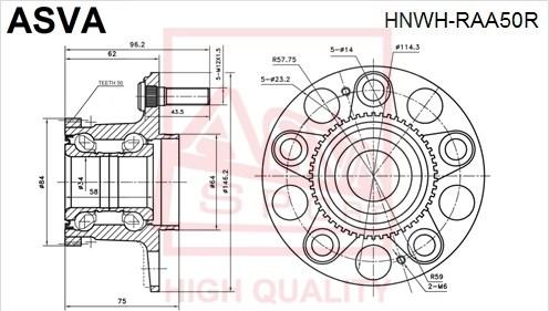 ASVA HNWH-RAA50R - Mozzo ruota autozon.pro