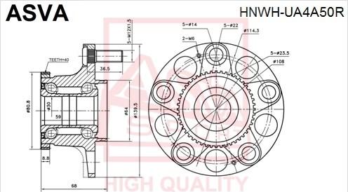 ASVA HNWH-UA4A50R - Mozzo ruota autozon.pro