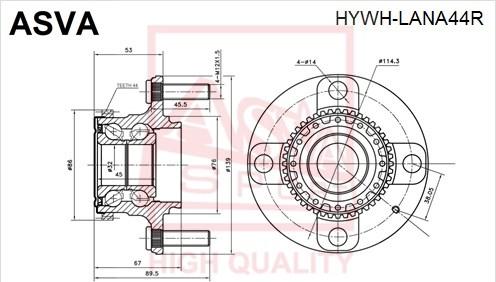 ASVA HYWH-LANA44R - Mozzo ruota autozon.pro