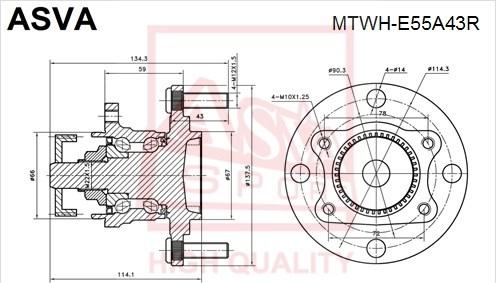 ASVA MTWH-E55A43R - Mozzo ruota autozon.pro